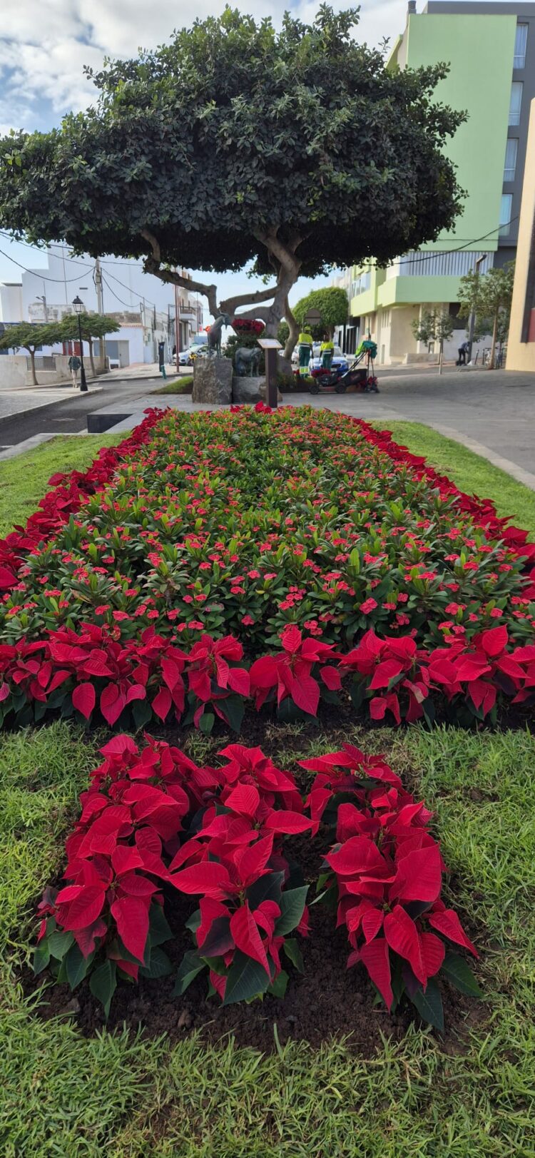Puerto del Rosario se viste de Navidad