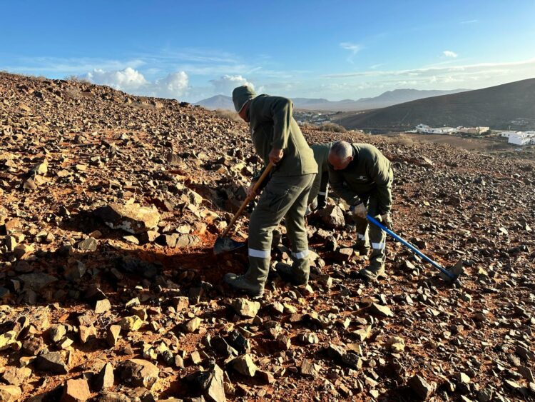 El Cabildo inicia la rehabilitación sostenible del paisaje tradicional de Agua de Bueyes