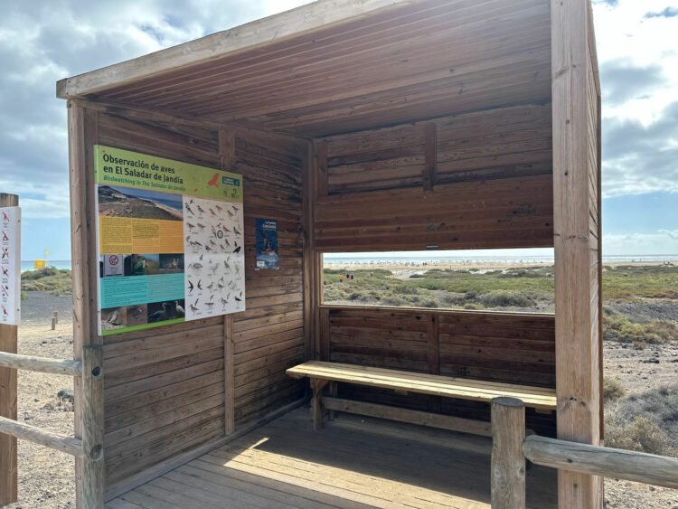 El Saladar de Jandía se convierte en zona de vigilancia preventiva de la gripe aviar