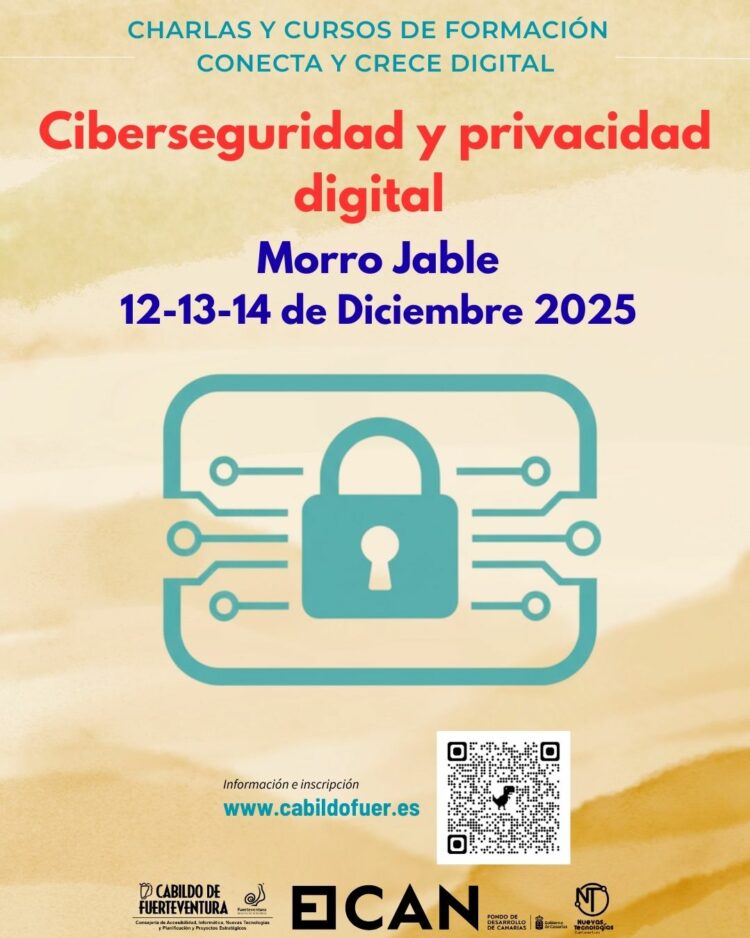 El Cabildo impulsa un curso formativo sobre ciberseguridad y privacidad digital