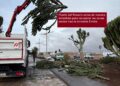 El Ayuntamiento de Puerto del Rosario actúa de manera inmediata para recuperar las zonas verdes tras la tormenta Emilia
