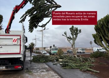 El Ayuntamiento de Puerto del Rosario actúa de manera inmediata para recuperar las zonas verdes tras la tormenta Emilia
