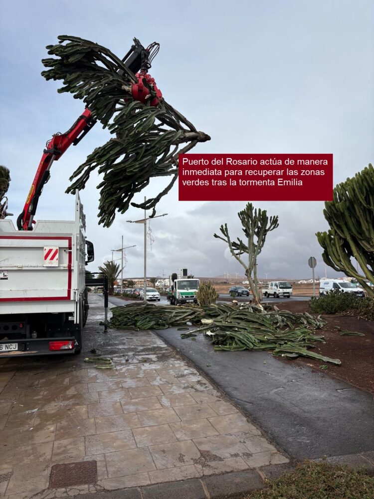 El Ayuntamiento de Puerto del Rosario actúa de manera inmediata para recuperar las zonas verdes tras la tormenta Emilia