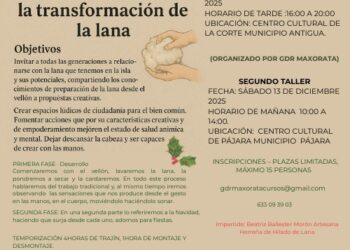 Cabildo y GDR Maxorata organizan dos jornadas creativas para descubrir el valor de la lana local