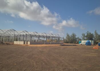 El Cabildo agiliza las obras del proyecto de restauración ambiental en la Estación Biológica de La Oliva