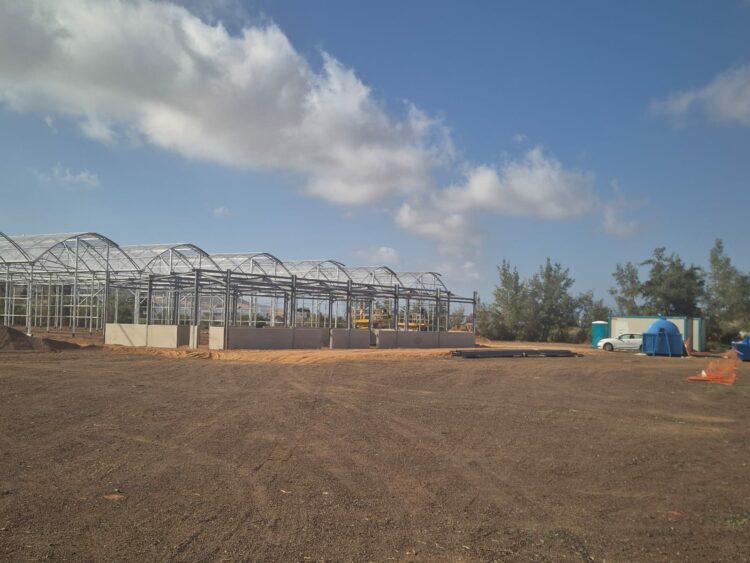 El Cabildo agiliza las obras del proyecto de restauración ambiental en la Estación Biológica de La Oliva