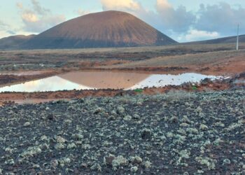 El Cabildo de Fuerteventura arregla más de mil gavias y sistemas de cultivo durante el 2025