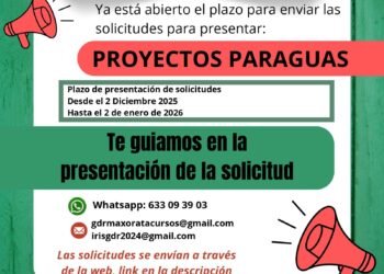 Abierto el plazo de presentación de solicitudes para participar en los ‘Proyectos paraguas 2025’