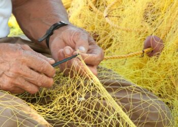 ﻿El Cabildo de Fuerteventura lleva a la FECAI su apoyo al sector pesquero tradicional
