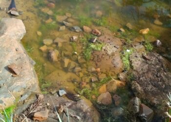 Antigua investiga los lamentables destrozos en Tacha Blanca