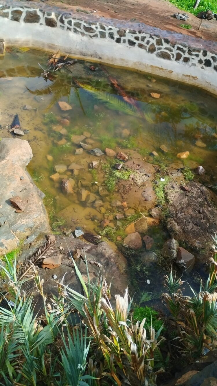 Antigua investiga los lamentables destrozos en Tacha Blanca