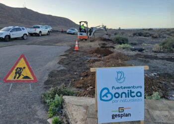 El Cabildo de Fuerteventura delimita y protege la marisma de Gran Tarajal