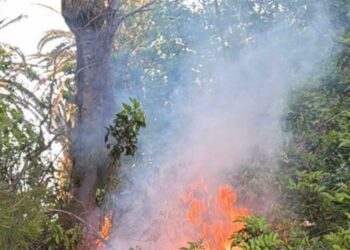 El Ayuntamiento de Pájara denuncia graves sabotajes en Costa Calma