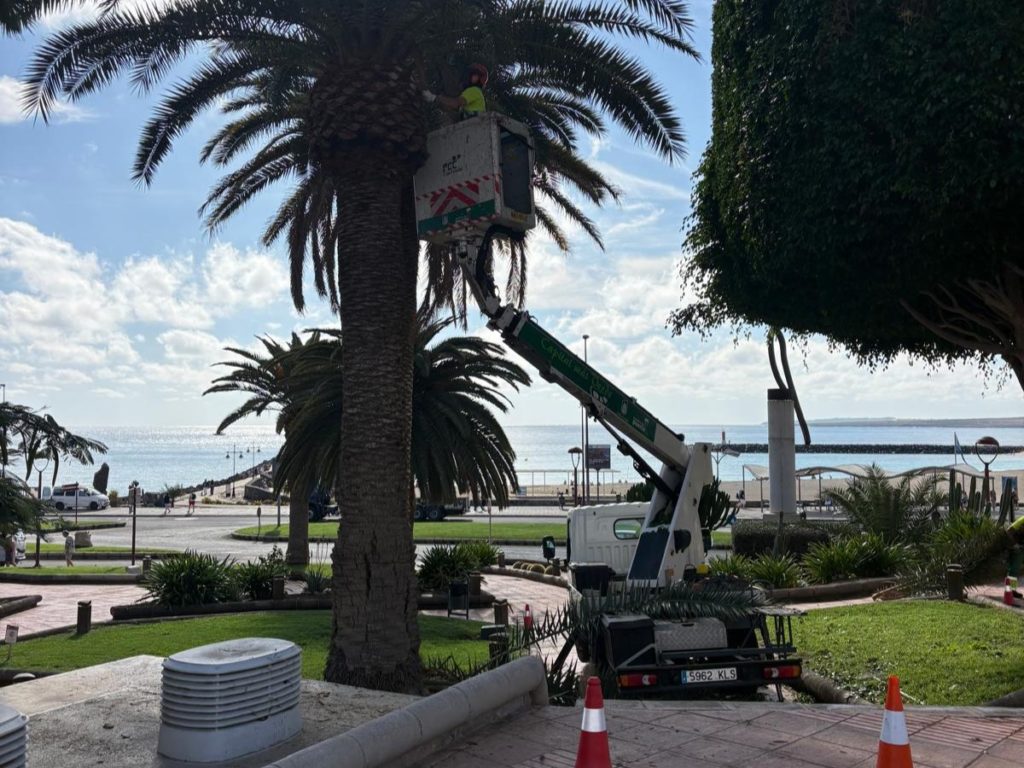 jardines-1-1024x768-1