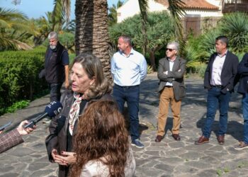 Fuerteventura se incorpora al proyecto Palmac para garantizar la continuidad de los palmerales autóctonos de la Macaronesia