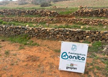 Las cuadrillas avanzan en la recuperación de muros de piedra de Antigua y Tuineje con el apoyo de sus ayuntamientos