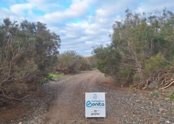 Las cuadrillas realizan una poda preventiva de inundaciones entre Madre del Agua y Ajuy