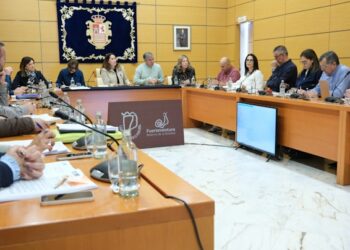 El Pleno del Cabildo aprueba el Plan Estratégico de Ayudas para el Fomento de la Artesanía