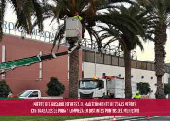 Puerto del Rosario refuerza el mantenimiento de zonas verdes con trabajos de poda y limpieza en distintos puntos del municipio