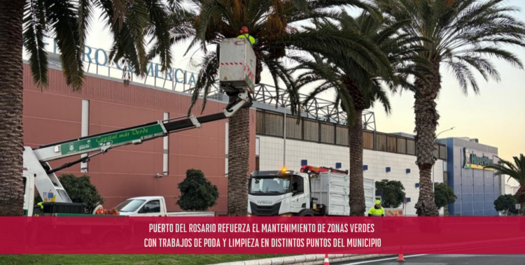 Puerto del Rosario refuerza el mantenimiento de zonas verdes con trabajos de poda y limpieza en distintos puntos del municipio