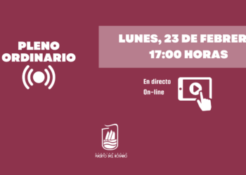 Pleno ordinario de febrero
