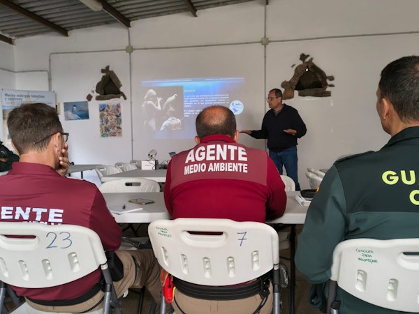 El Cabildo de Fuerteventura imparte formación especializada en manipulación de fauna exótica y especies invasoras