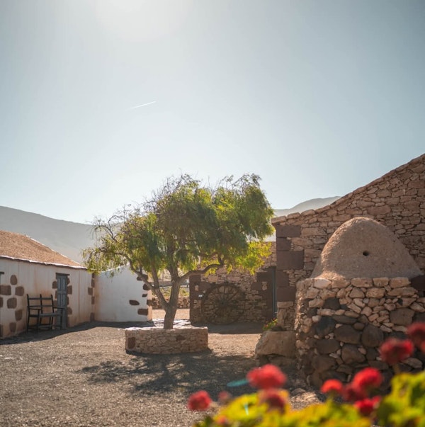 Sale a licitación la renovación del Ecomuseo La Alcogida, prevista dentro del Plan Estratégico de Museos de Fuerteventura