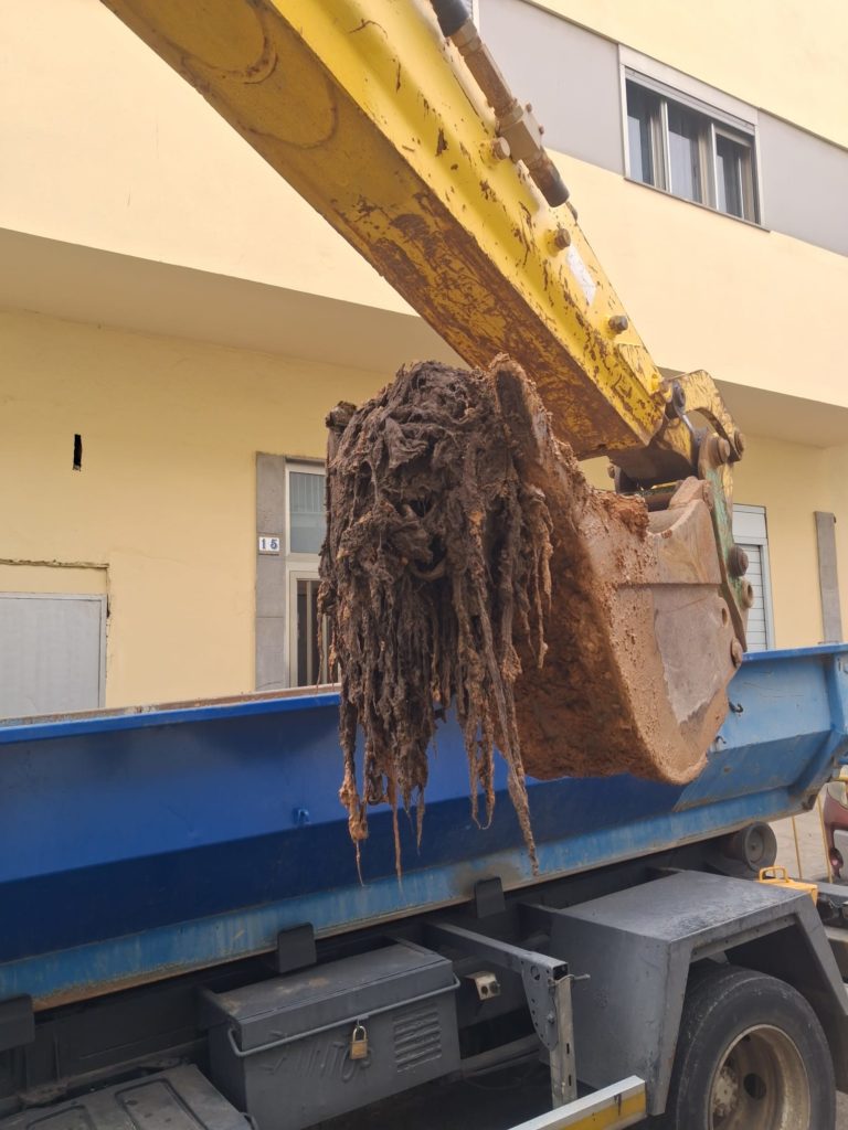 saneamiento-3-768x1024-1