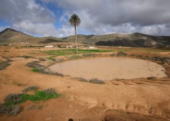 Fuerteventura celebra el Día de los Humedales con charcas, saladares y lagunas llenas por las lluvias