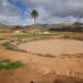 Fuerteventura celebra el Día de los Humedales con charcas, saladares y lagunas llenas por las lluvias