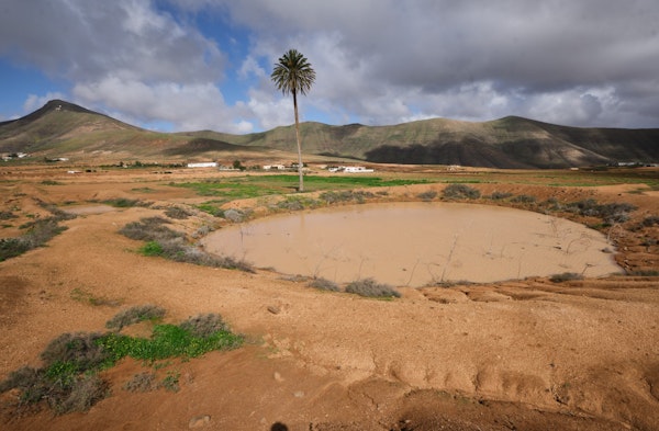 Fuerteventura celebra el Día de los Humedales con charcas, saladares y lagunas llenas por las lluvias