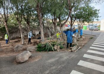 El Ayuntamiento de Pájara pone en marcha el Plan de Empleo para la limpieza y retirada de escombros en las zonas verdes de Costa Calma