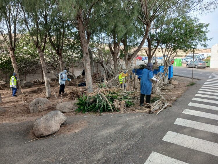 El Ayuntamiento de Pájara pone en marcha el Plan de Empleo para la limpieza y retirada de escombros en las zonas verdes de Costa Calma