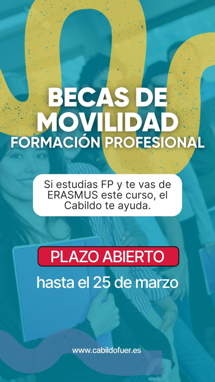 El Cabildo abre el plazo para solicitar las becas de movilidad para estudiantes de Formación Profesional