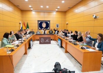 El Cabildo aprueba la modificación del plan estratégico para ayudas a pymes, autónomos y personas emprendedoras