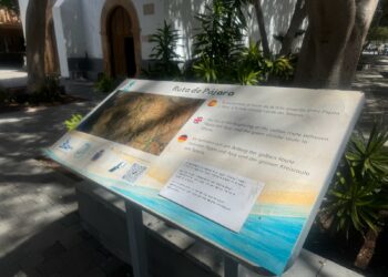 El Ayuntamiento de Pájara habilita una nueva página web accesible para consultar las rutas y senderos del proyecto `Pájara al dedillo´