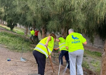 El Ayuntamiento de Pájara continúa con los trabajos de limpieza para la mejora de los jardines en el municipio