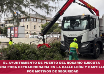 El Ayuntamiento de Puerto del Rosario ejecuta una poda extraordinaria en la calle León y Castillo por motivos de seguridad