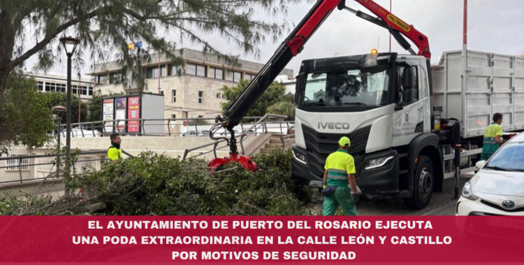 El Ayuntamiento de Puerto del Rosario ejecuta una poda extraordinaria en la calle León y Castillo por motivos de seguridad