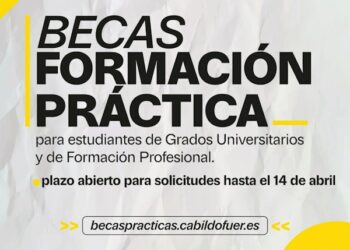 El Cabildo de Fuerteventura abre el plazo de las becas de formación práctica﻿