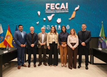 La FECAI traslada cuarenta propuestas al Decreto Canarias del ejecutivo autonómico