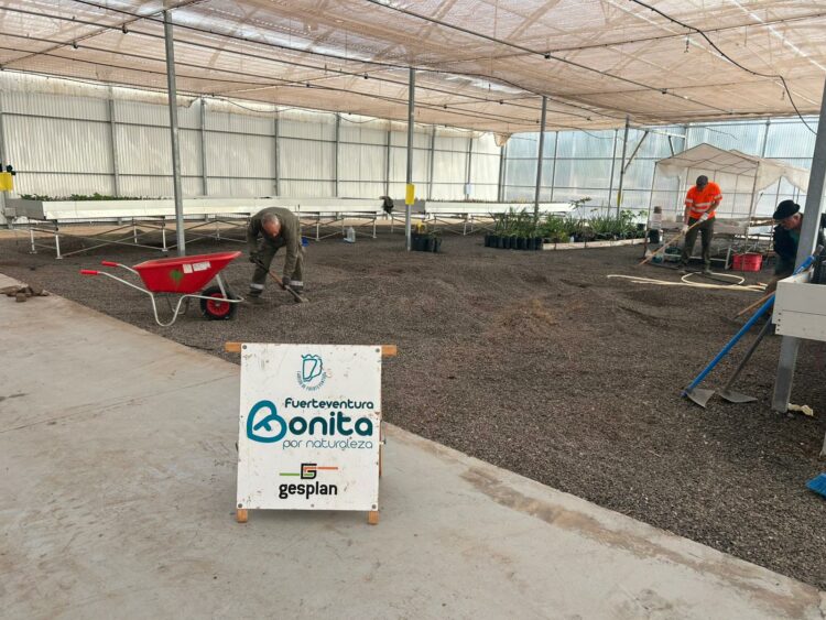 Las cuadrillas continúan los trabajos para adecentar espacios de tránsito y jardines de la Granja Experimental de cara a Feaga 2026