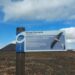 Cierre temporal de determinados tramos de senderos en Fuerteventura como medida clave para proteger las aves en época de cría
