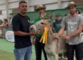 Tofio, Jandía y Niebla ganan el concurso de valoración morfológica del burro majorero