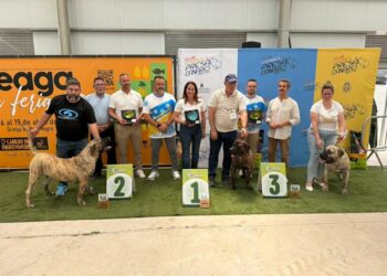 Celebrado el V Concurso Monográfico del Presa Canario