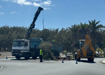 El Ayuntamiento de Pájara se coordina con el Cabildo de Fuerteventura para la limpieza del palmeral y zonas verdes de Costa Calma