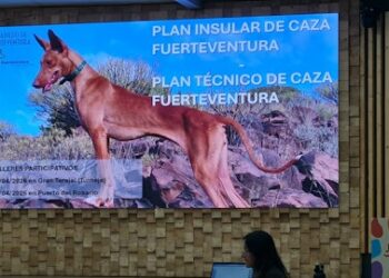 El Cabildo coordina la elaboración del Plan Insular y el Plan Técnico de Caza con los agentes implicados