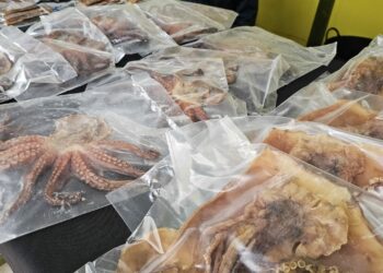 Mercado Agrícola de Antigua este primer domingo de abril