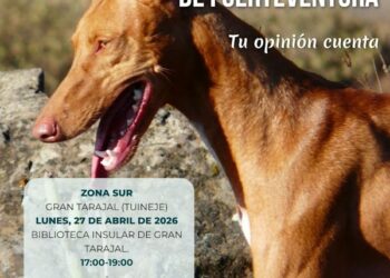 El Cabildo abre el proceso participativo para la elaboración del Plan Insular y del Plan Técnico de Caza