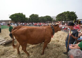 Alrededor de 3.000 escolares conocen la labor del sector primario majorero en FEAGA 2026